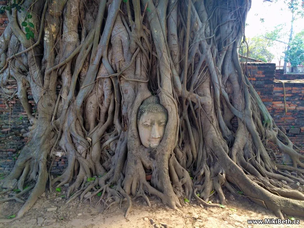 Ayutthaya — Buddha hlava